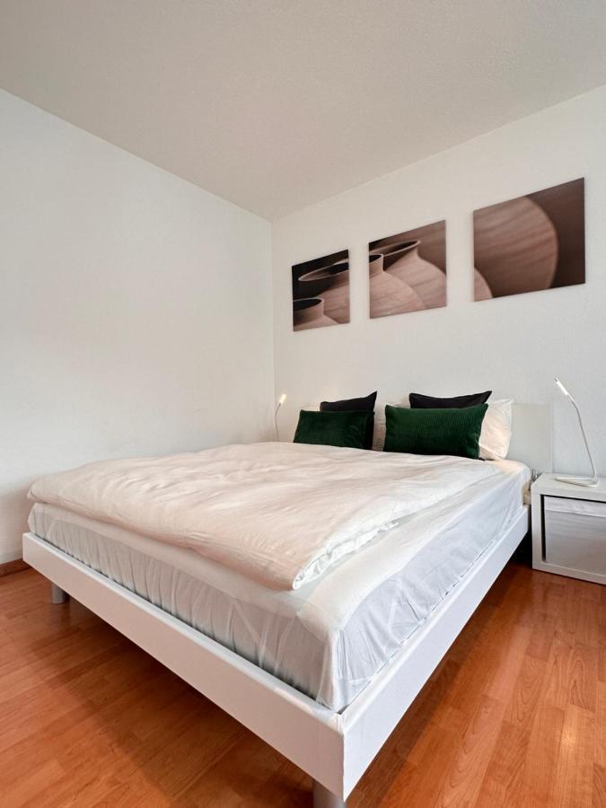 Apartment Cozy One-bedroom In Hongg Zurich