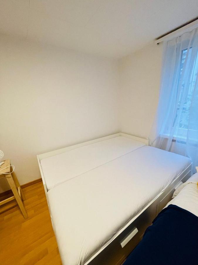 Cozy Apartment Zürich