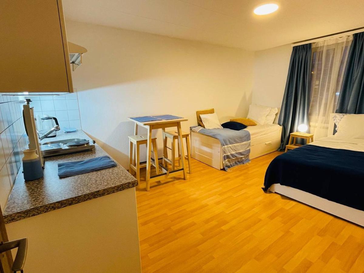 Apartment Cozy Zürich