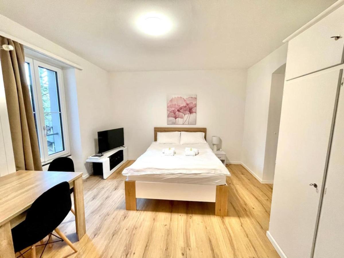 Apartment Heart Of Modern Studio Hg20 Zurich
