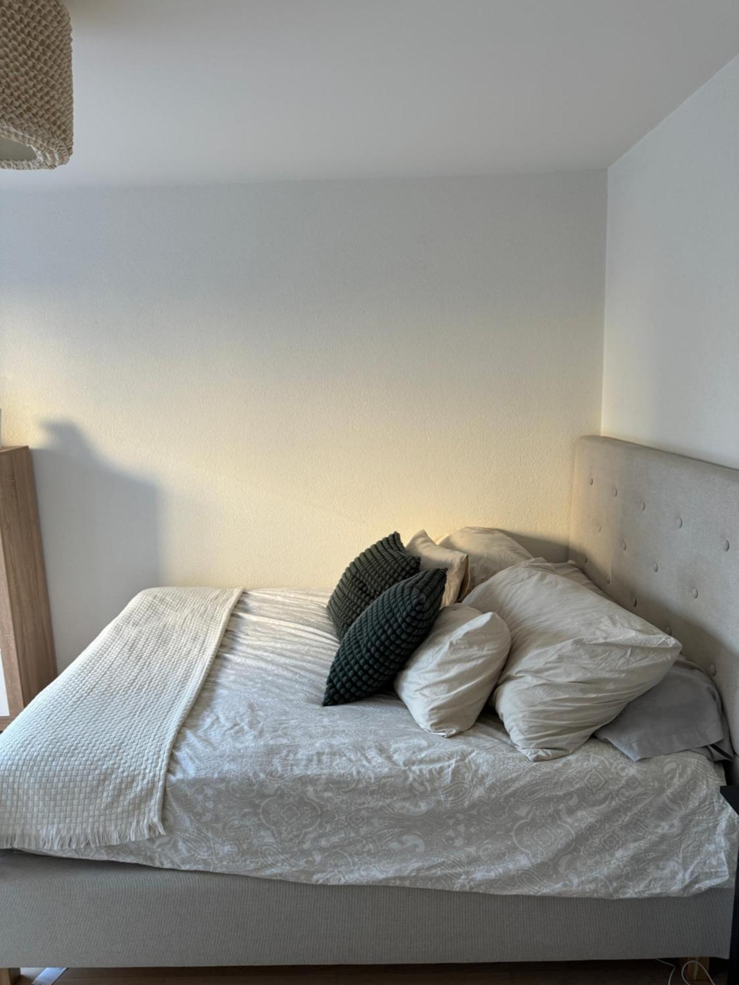 Hennu Apartment Zurich
