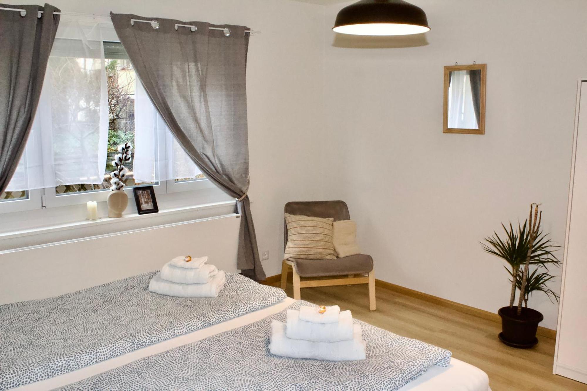 Zum Buhlhof Apartment Zurich