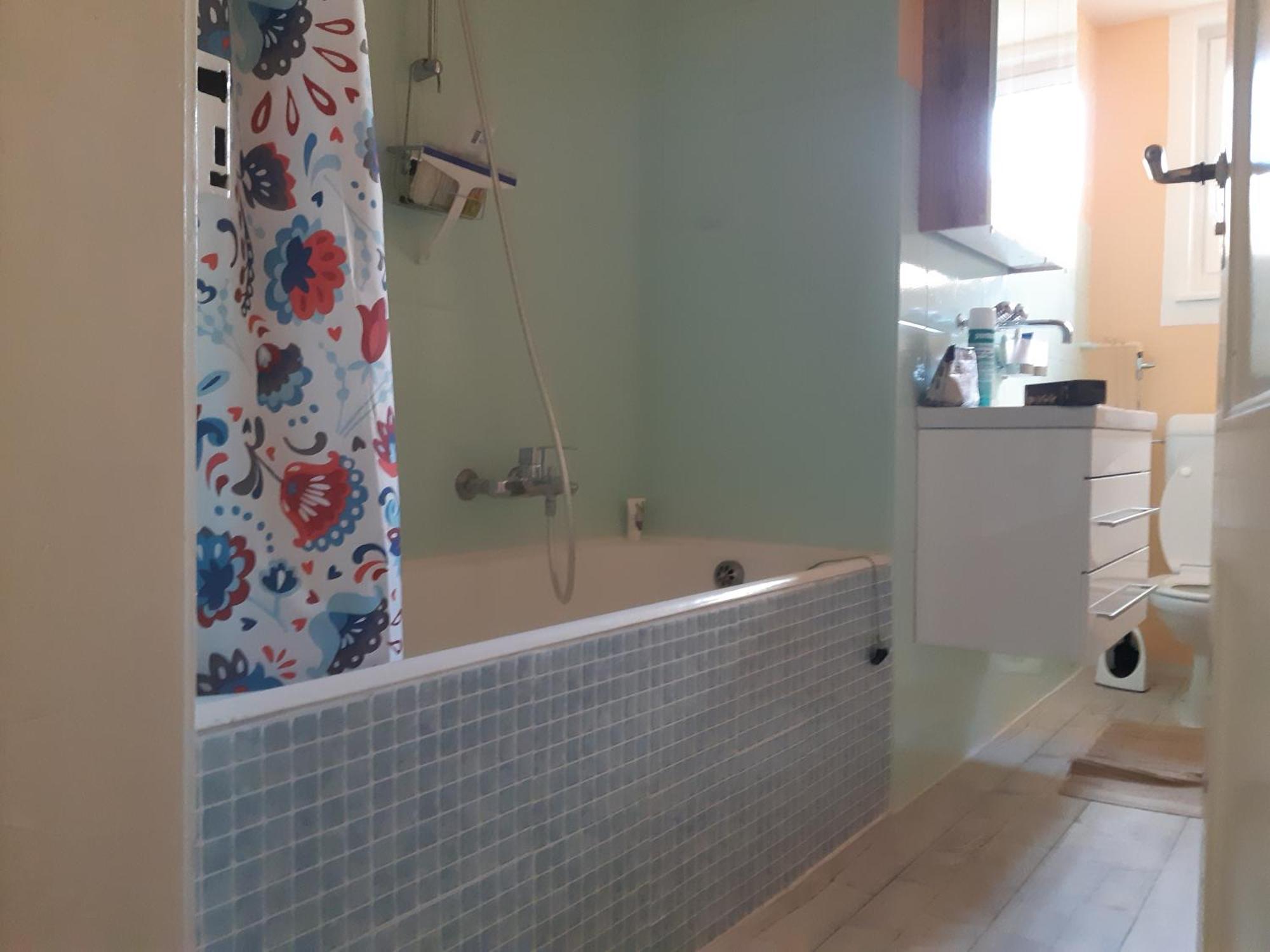 Apartment Quiet And Cosy Near Hallenstadion Zurich