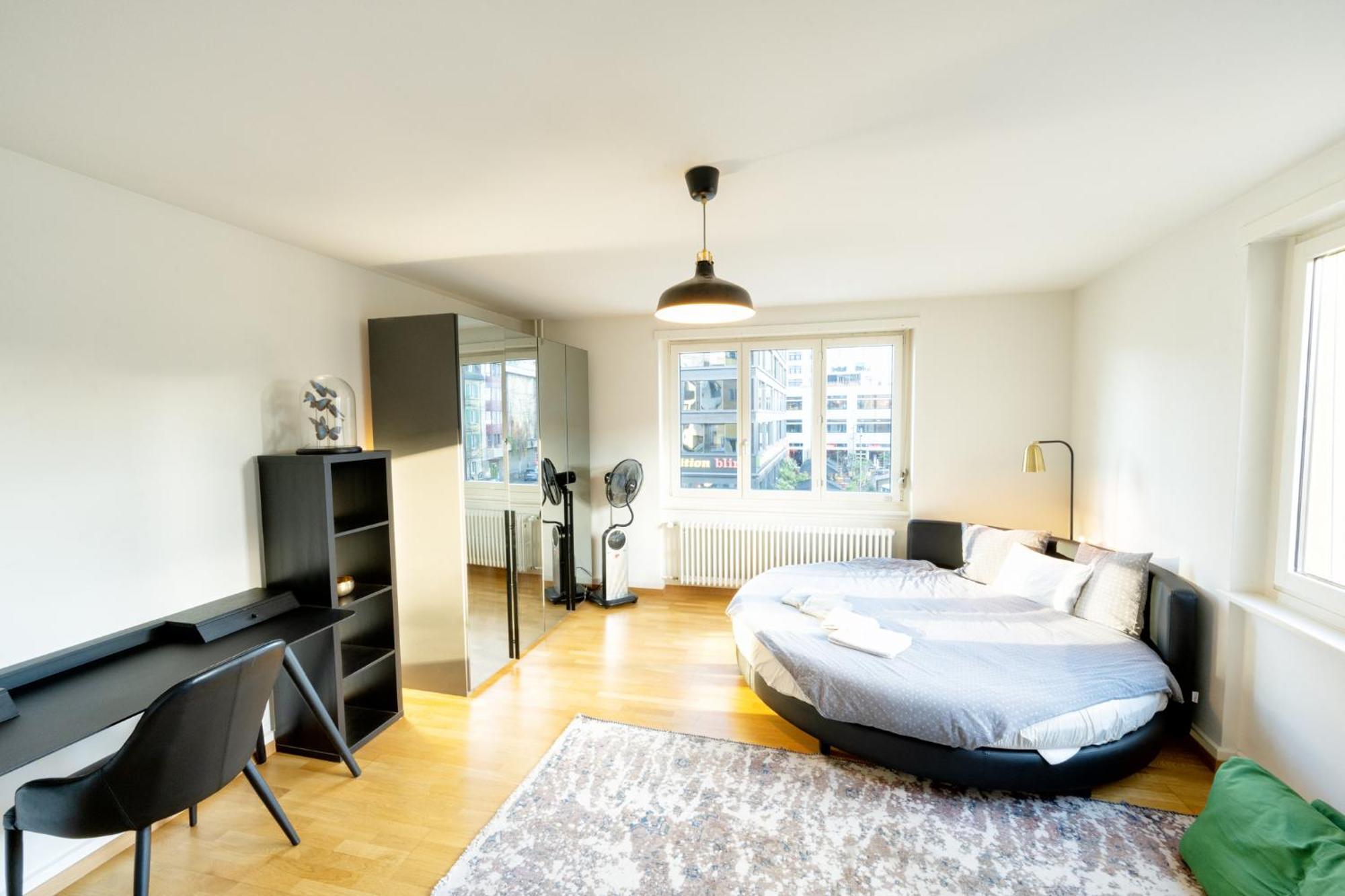 Loving Right In The Heart Of Zurich! Apartment
