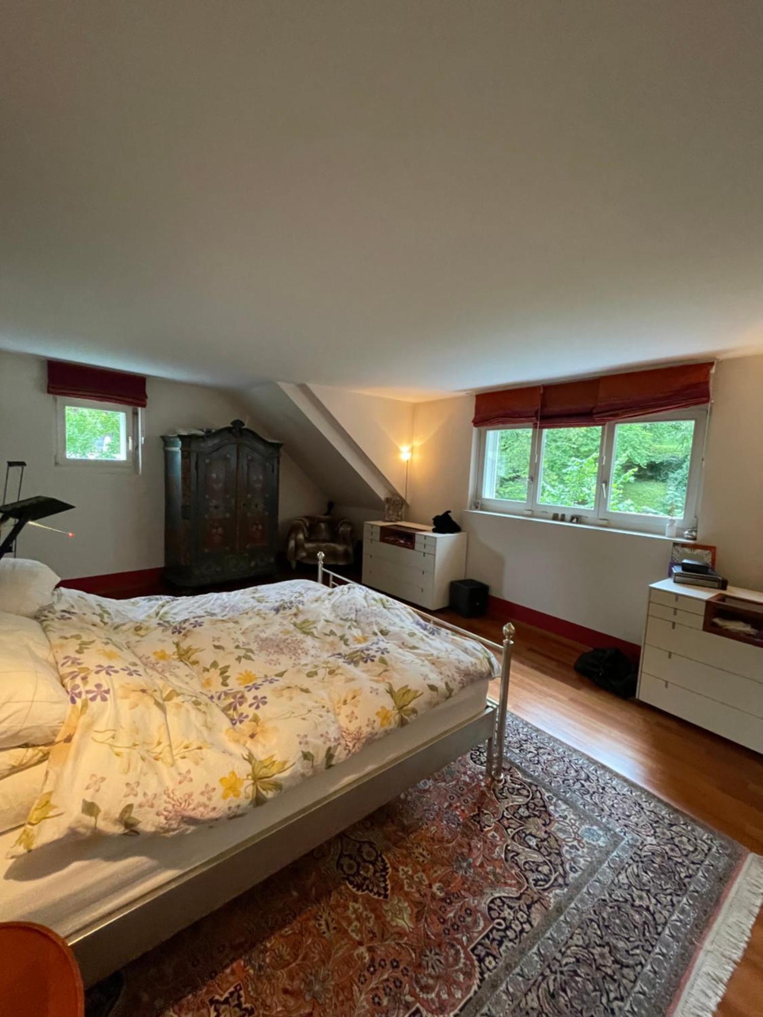 Spacious And Stylish In Zurich