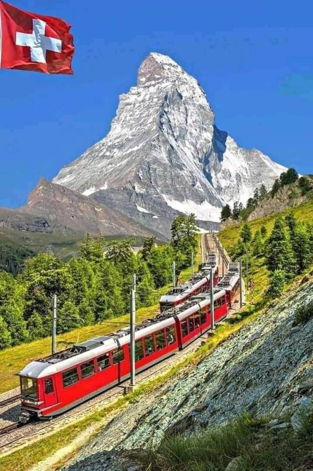 Lion Bb Swiss * Zurich