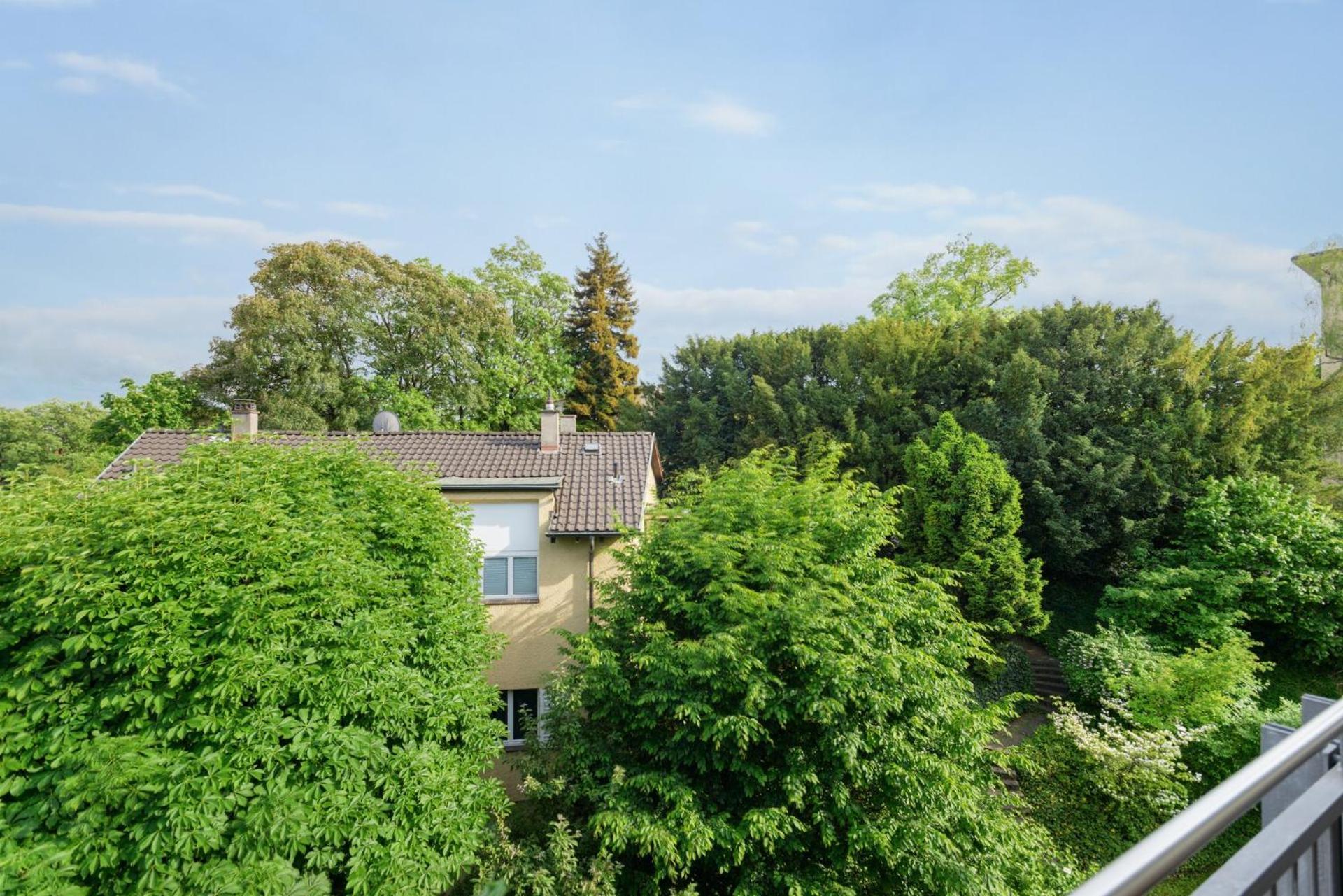 Spacious In The Heart Of Zltwg66