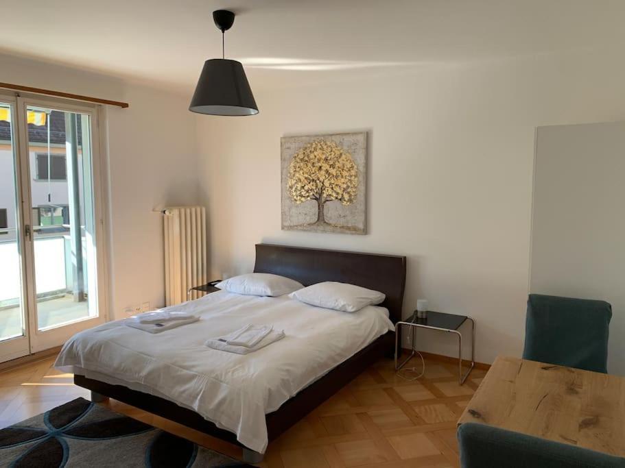 Sunny In The Center Apartment Zurich