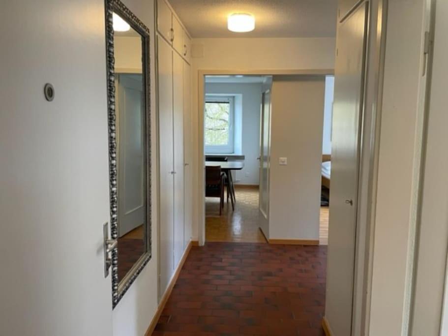 Apartment Cozy, Sunny, Center 1 Bedroom Flat Zurich