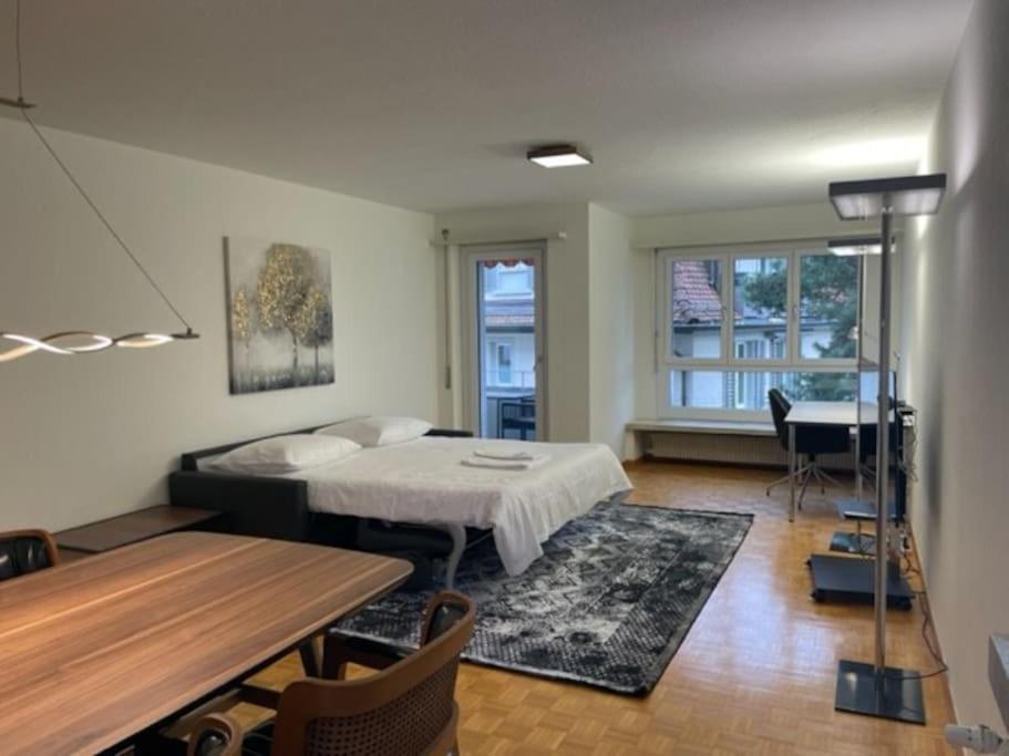Cozy, Sunny, Center 1 Bedroom Flat Apartment