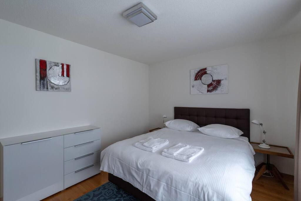 Apartment Executive 2 Bedroom Flat / Center Zürich