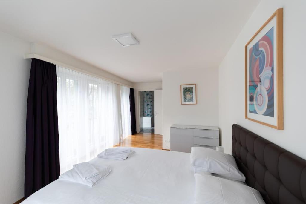 And Big 1 Bedroom Flat Center/near Apartment *