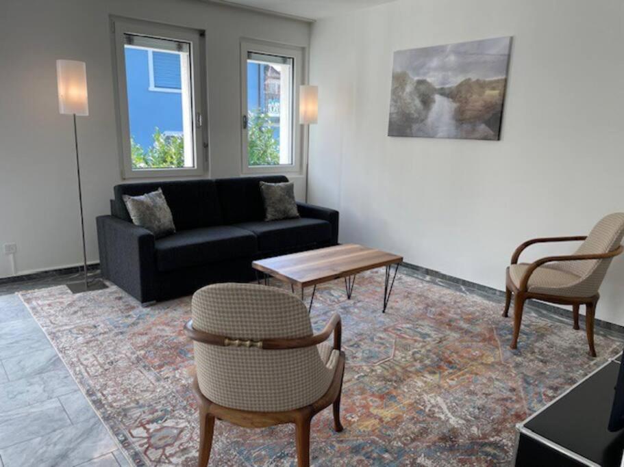 Amazing 2 Bedroom Flat: Specious And Apartment Zurich