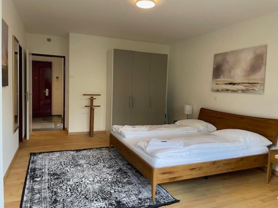 Amazing 2 Bedroom Flat: Specious And * Zurich