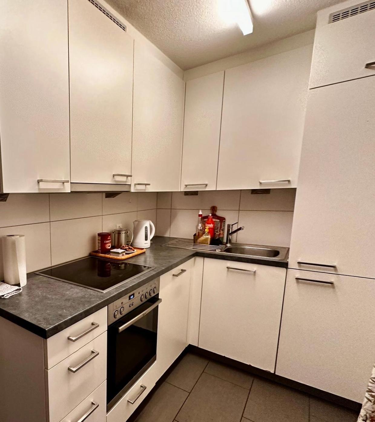 Spacious Apartment Zurich