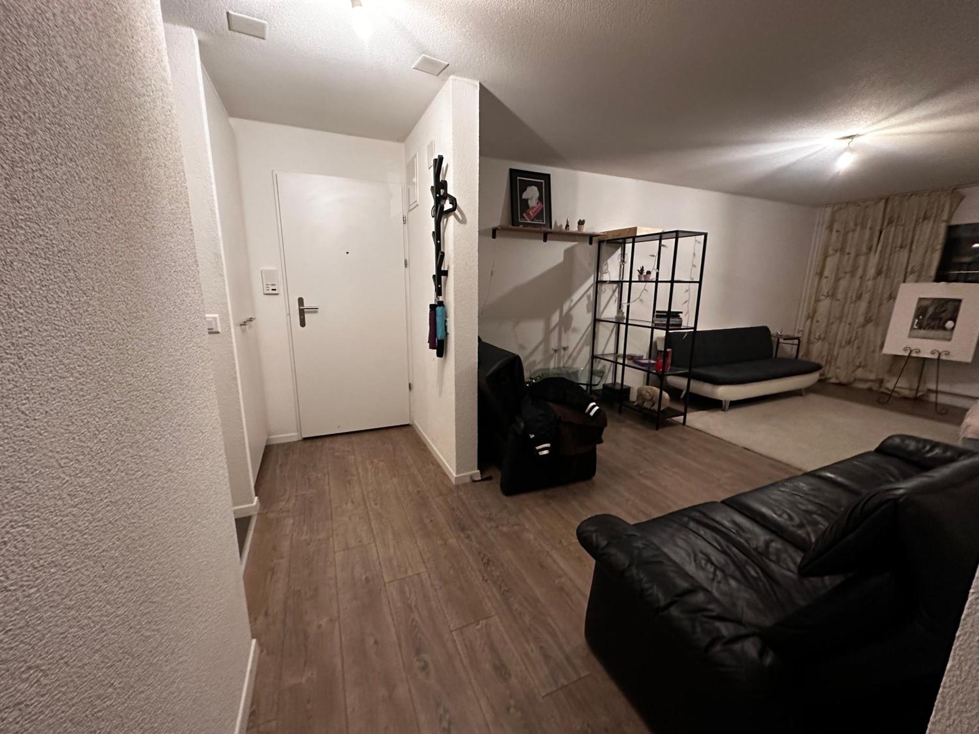 Spacious Zurich
