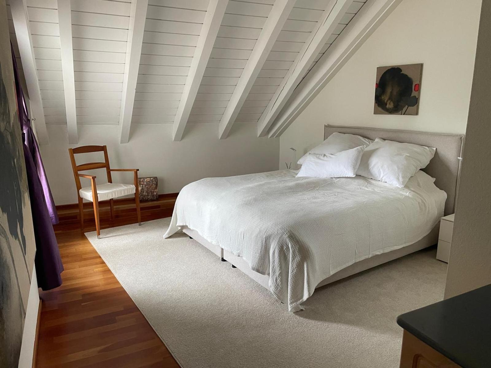 Apartment Spacious And Stylish In