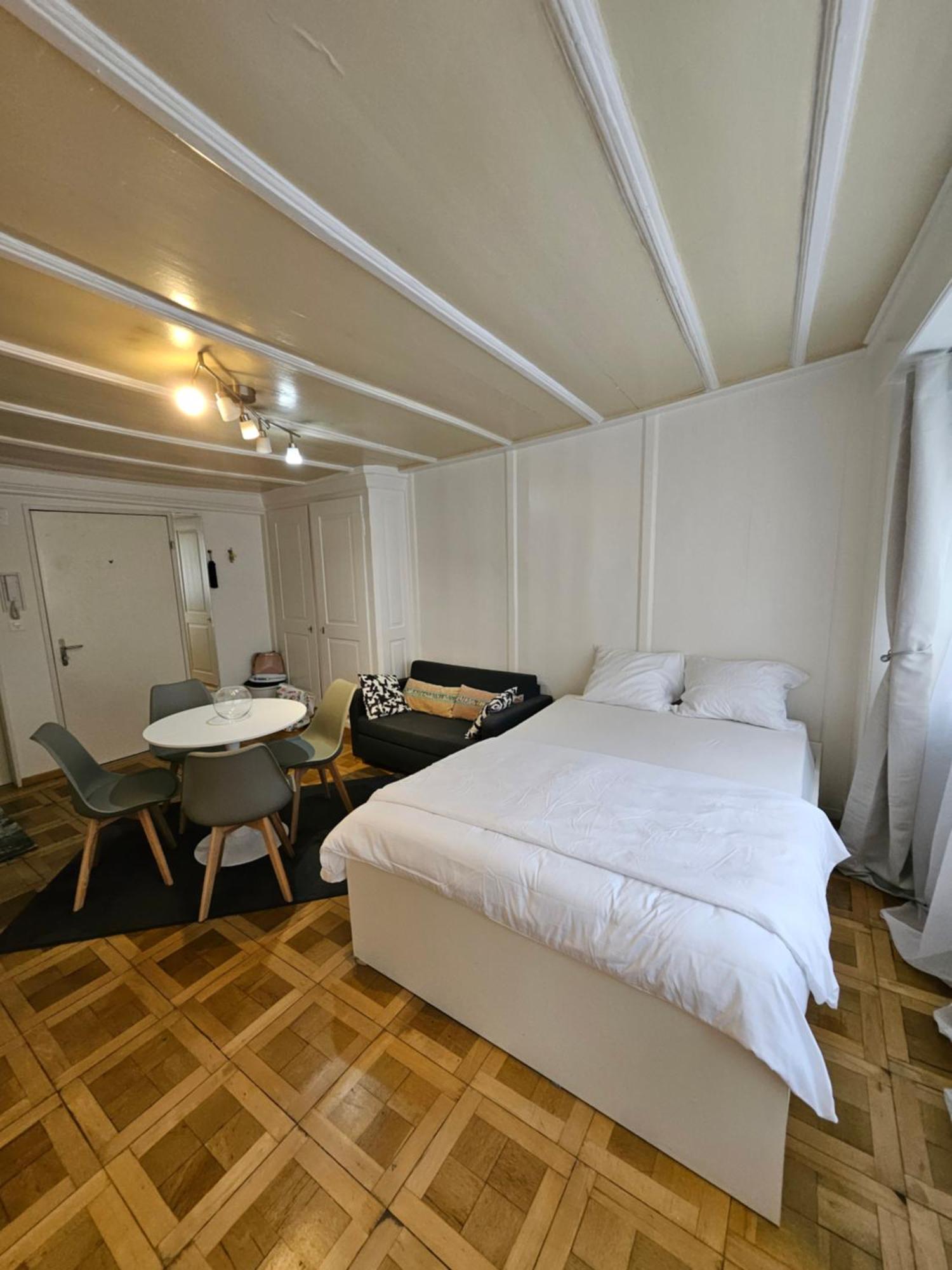 Center Apt. Old Town Zh Apartment *