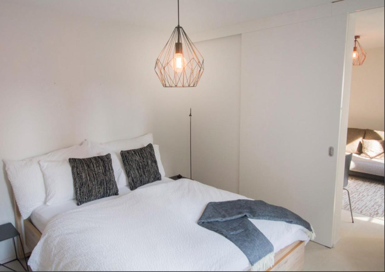 Niederdorf - Grossmunster Apartment Zurich