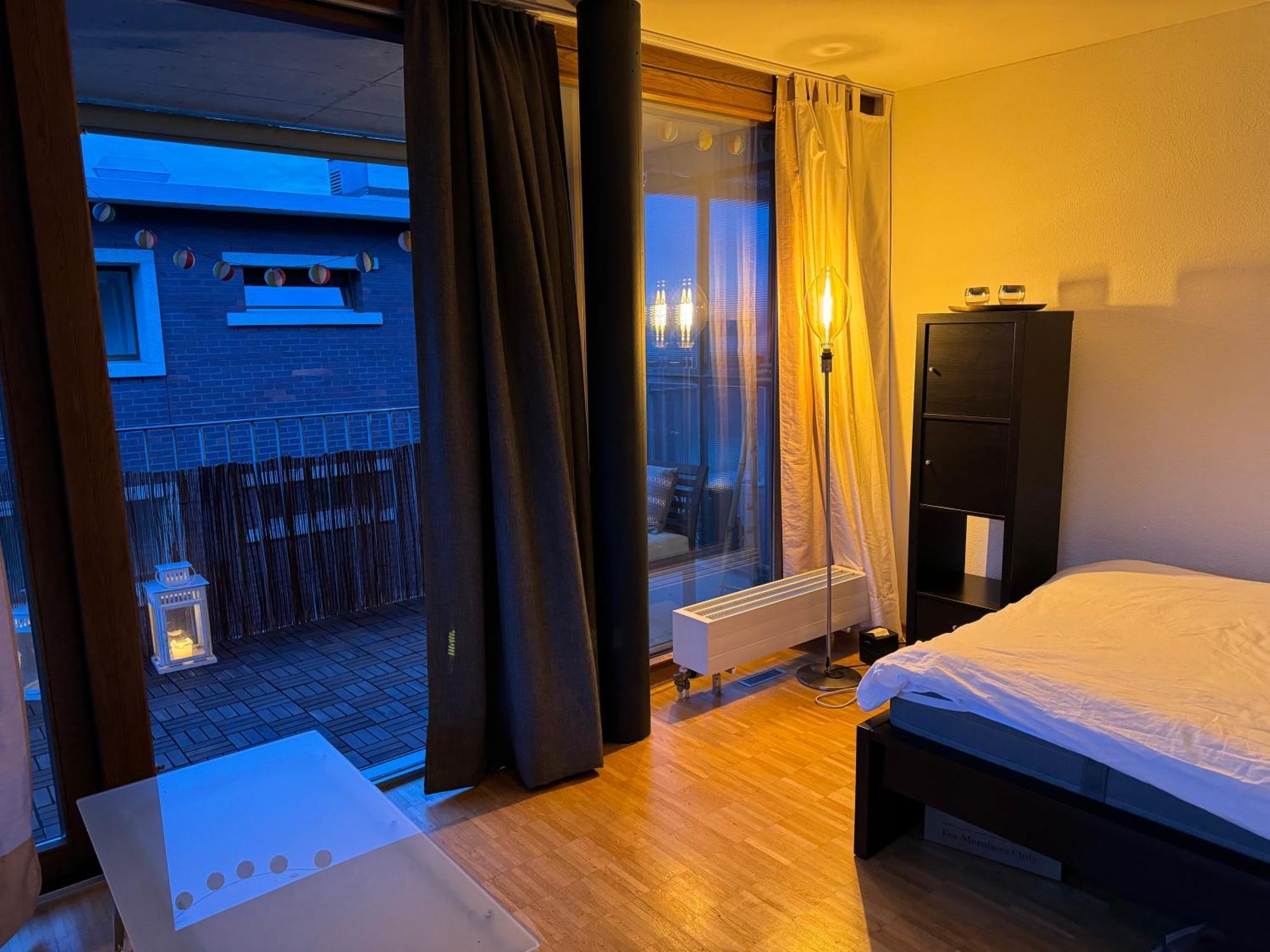 Cozy Studio In Apartment Zurich