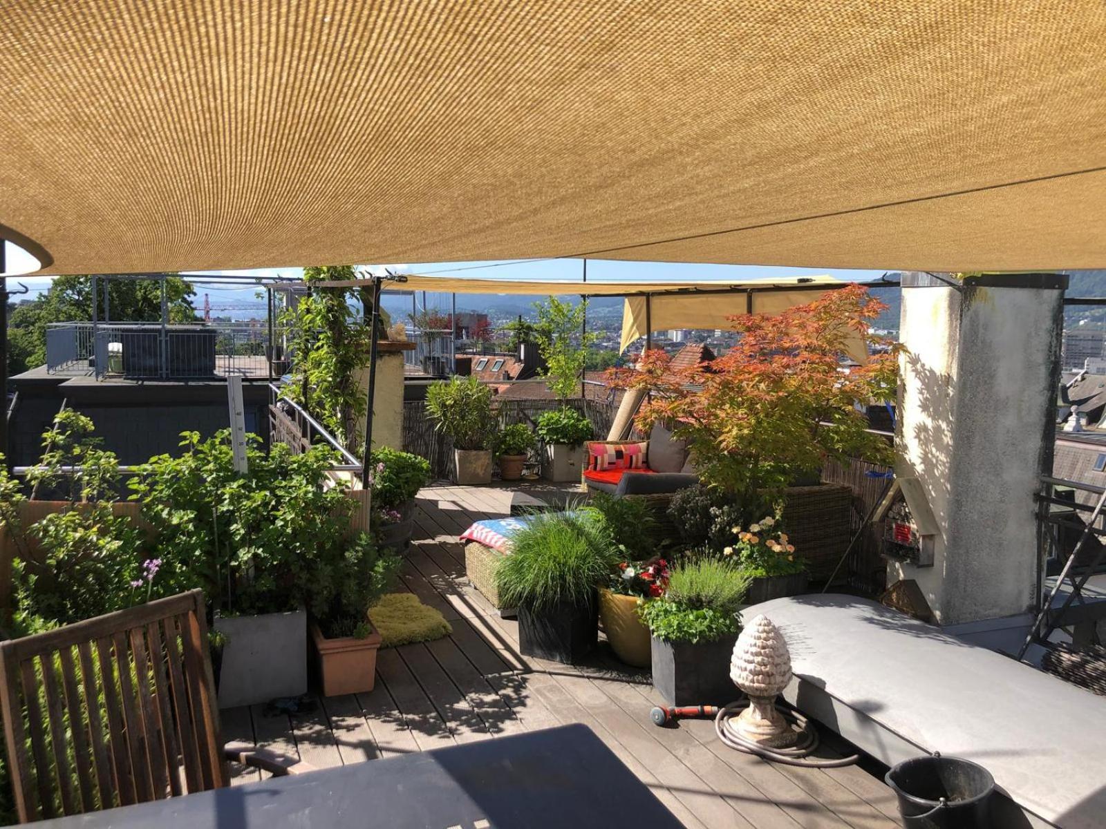 Designer With Rooftop Homestay