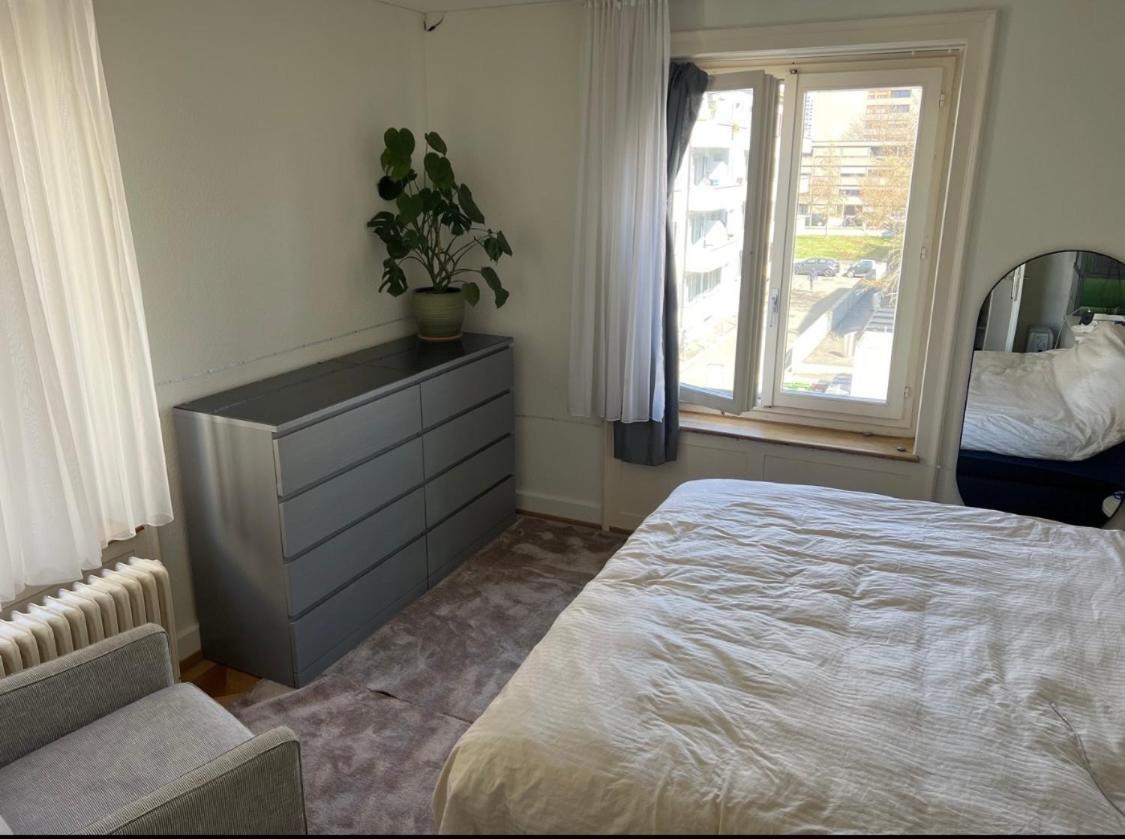 Apartment 5 Mins From Stadion Letzigrund Zurich