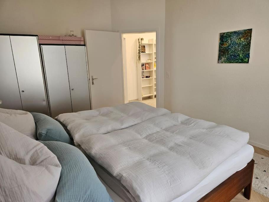 New 2 Bedroom - 15min From Paradeplatz Zurich