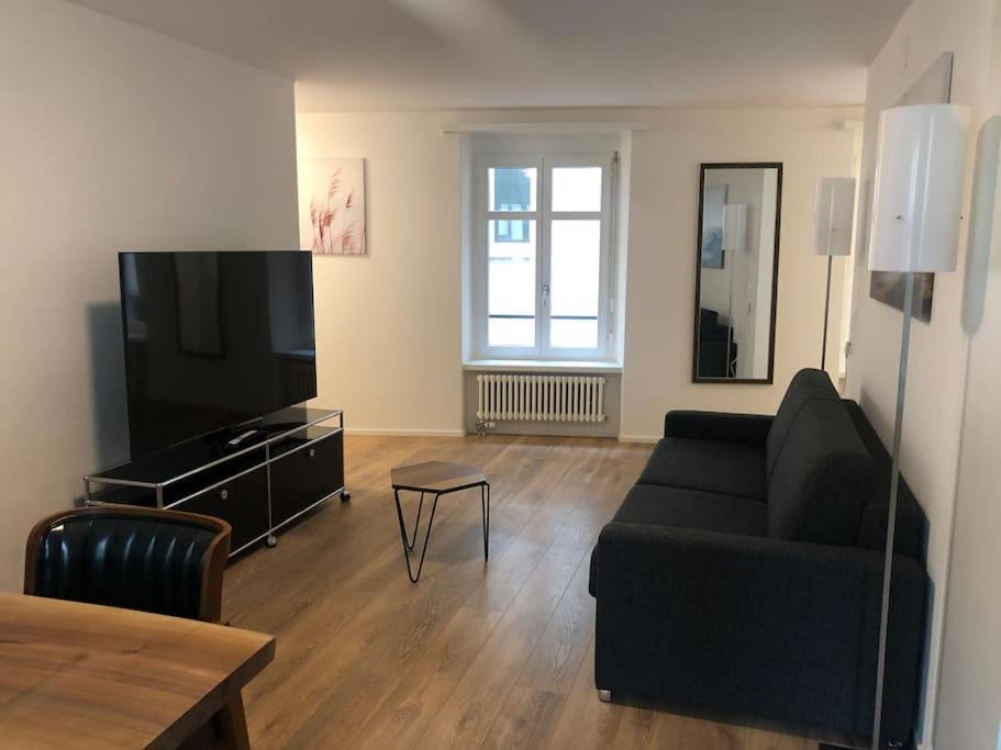Fantastic 2br Flat Close To Paradeplatz - Canal2 Apartment *