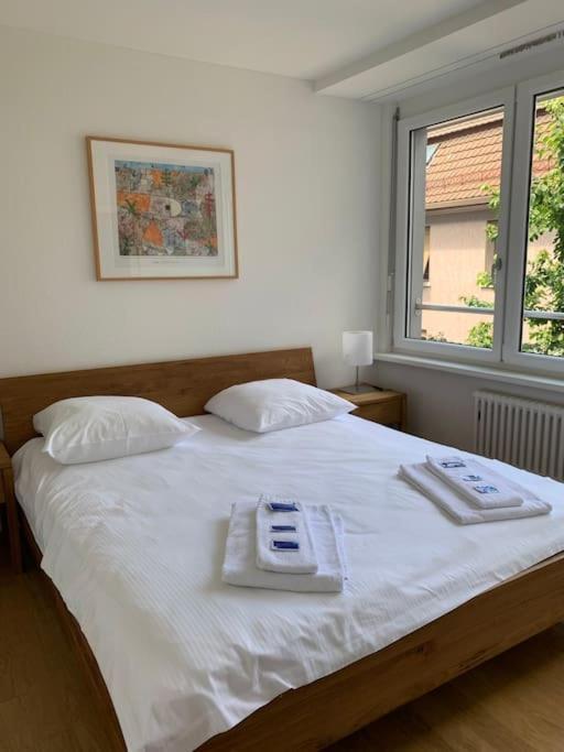 Nice And Big 1br Flat In The City Center - West 5 Apartment