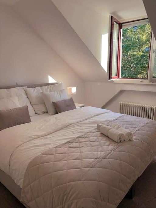 Swiss Apartment *