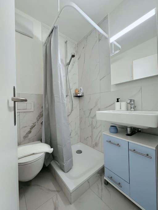 Central Brand New Apartment Zurich