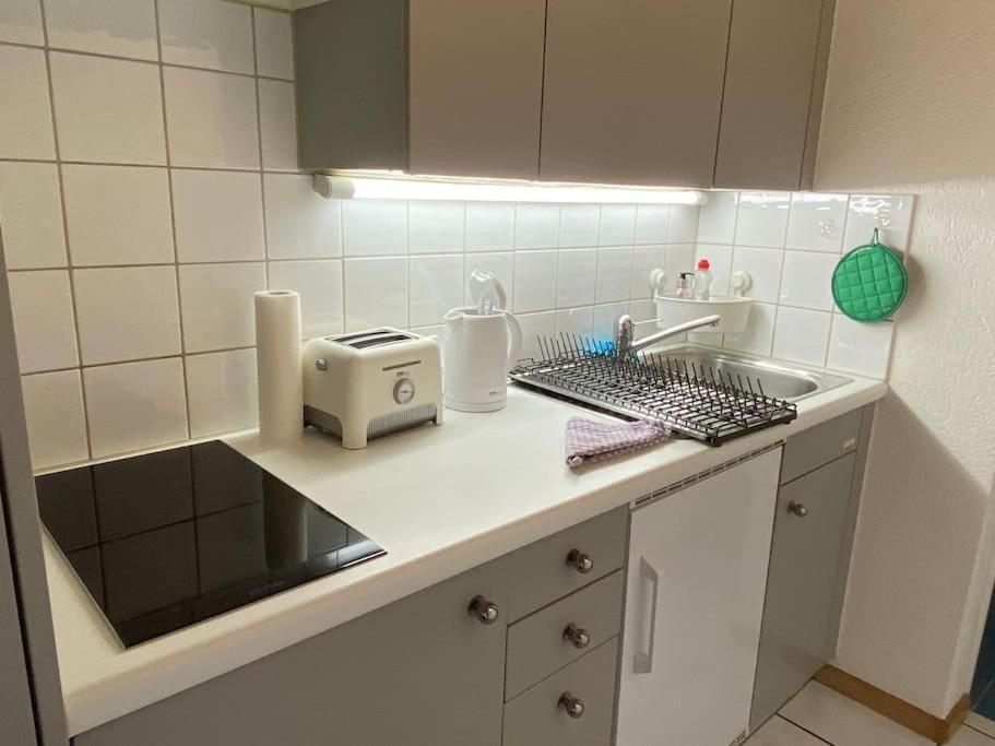 Apartment Urban Retreat - Cozy Studio With Private Patio Zürich