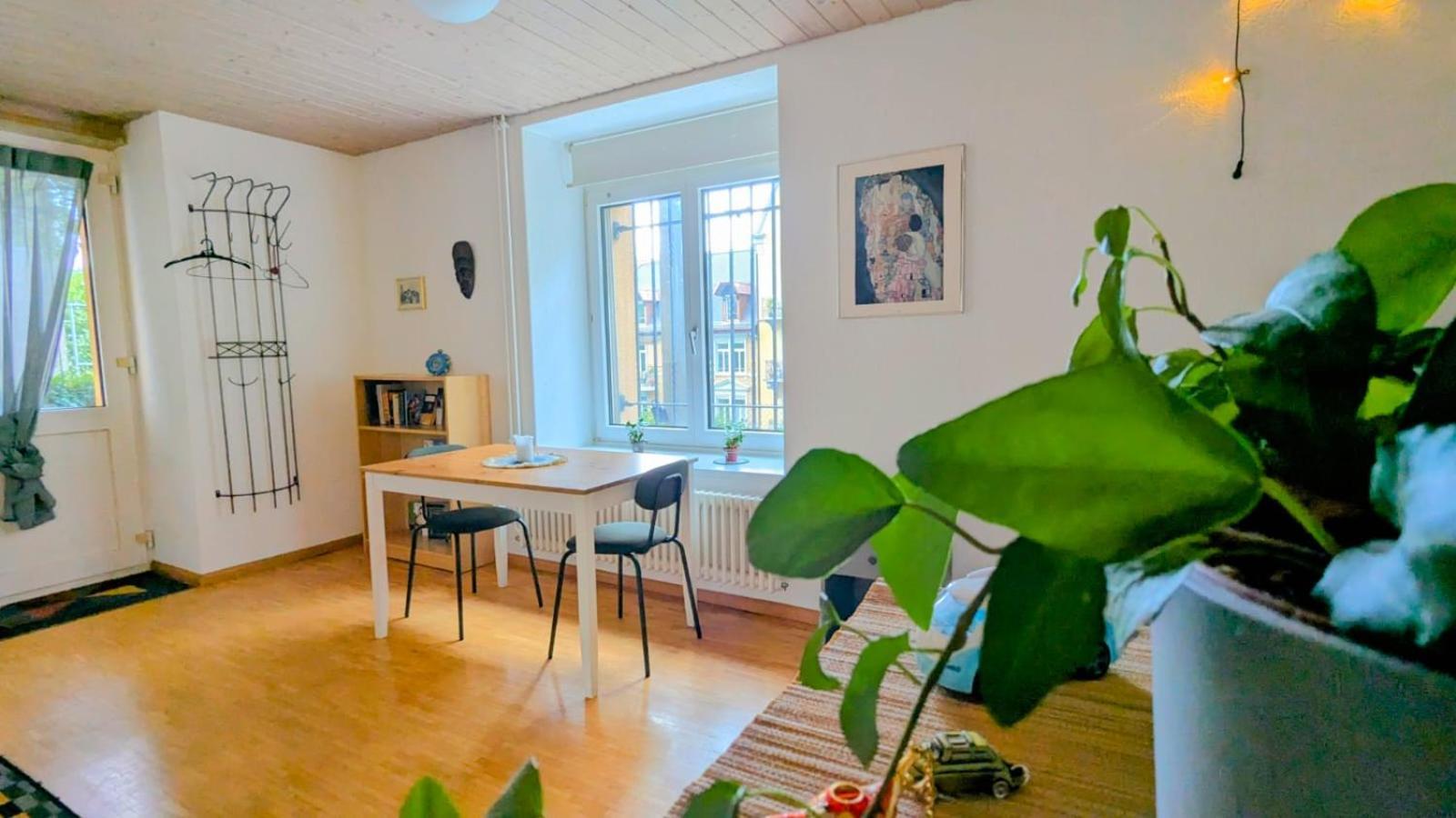 Urban Retreat - Cozy Studio With Private Patio Apartment Zürich