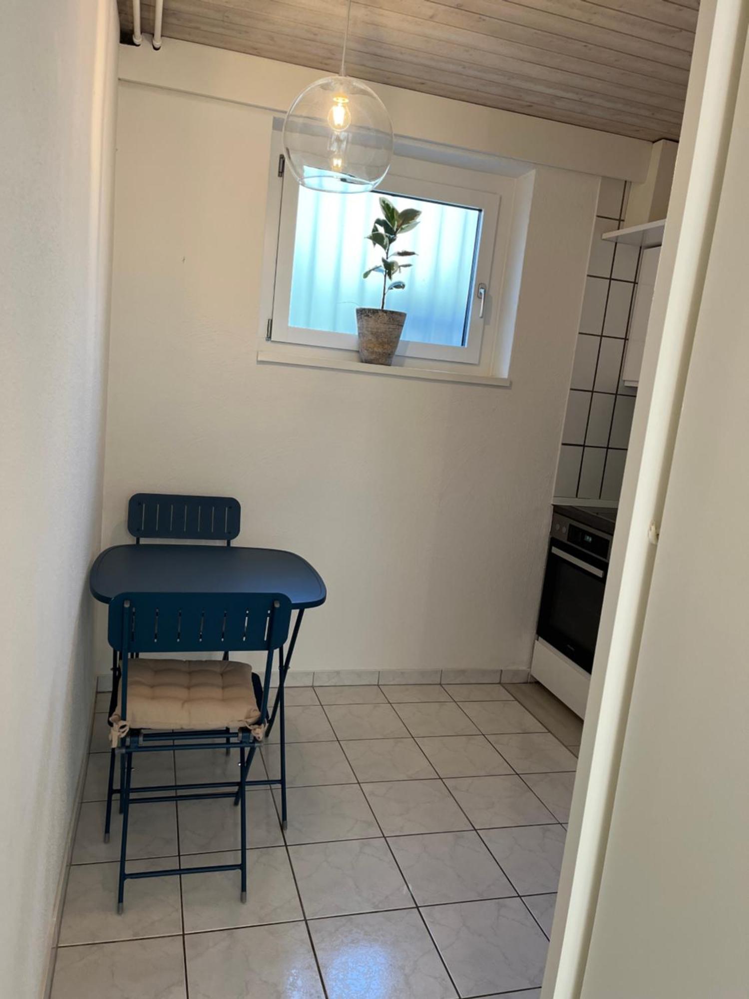 Apartment Letzigrund With Private Garden *