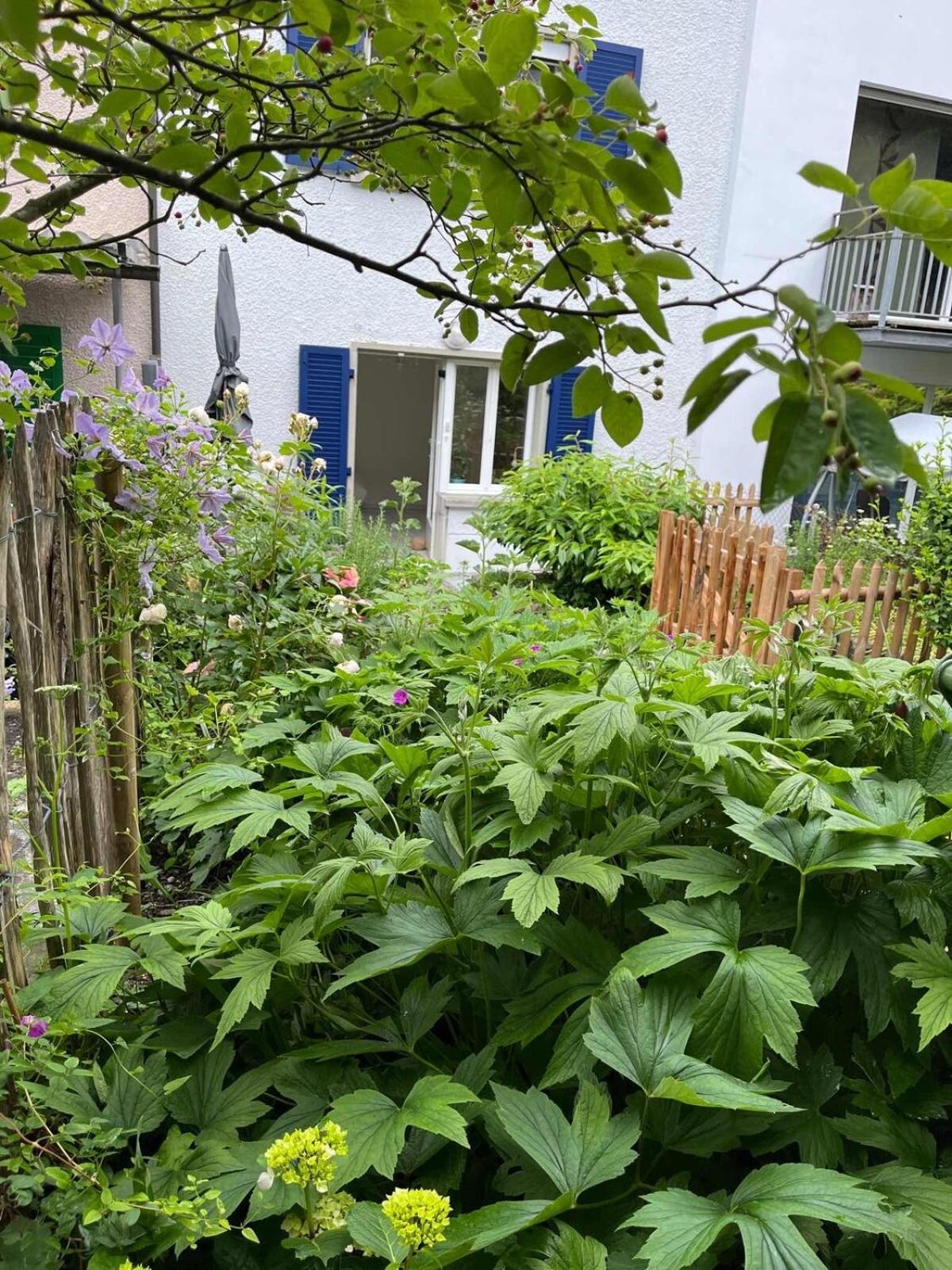 Letzigrund With Private Garden Apartment Zurich