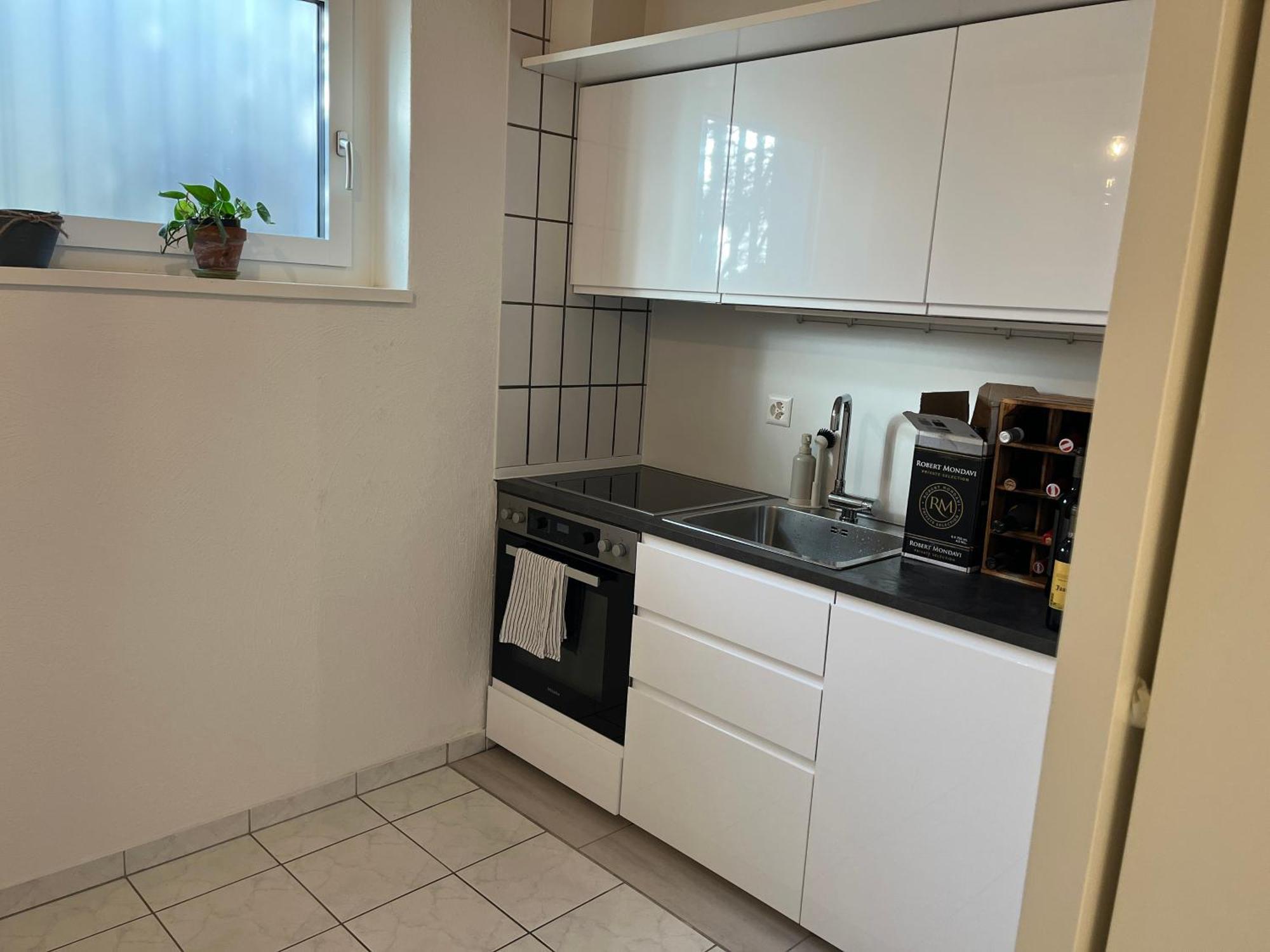 Letzigrund With Private Garden Apartment Zurich