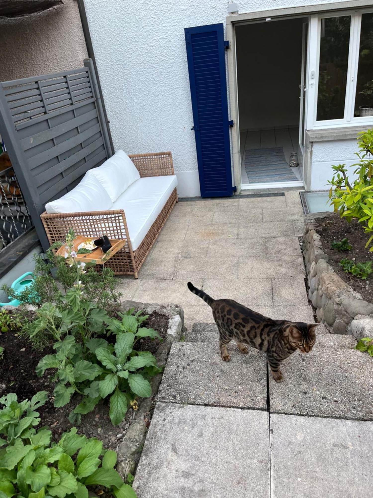 Letzigrund With Private Garden *