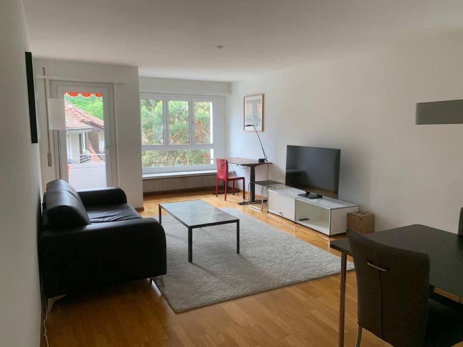 Fantastic 1br Flat In The Center - Marble 1 Zurich