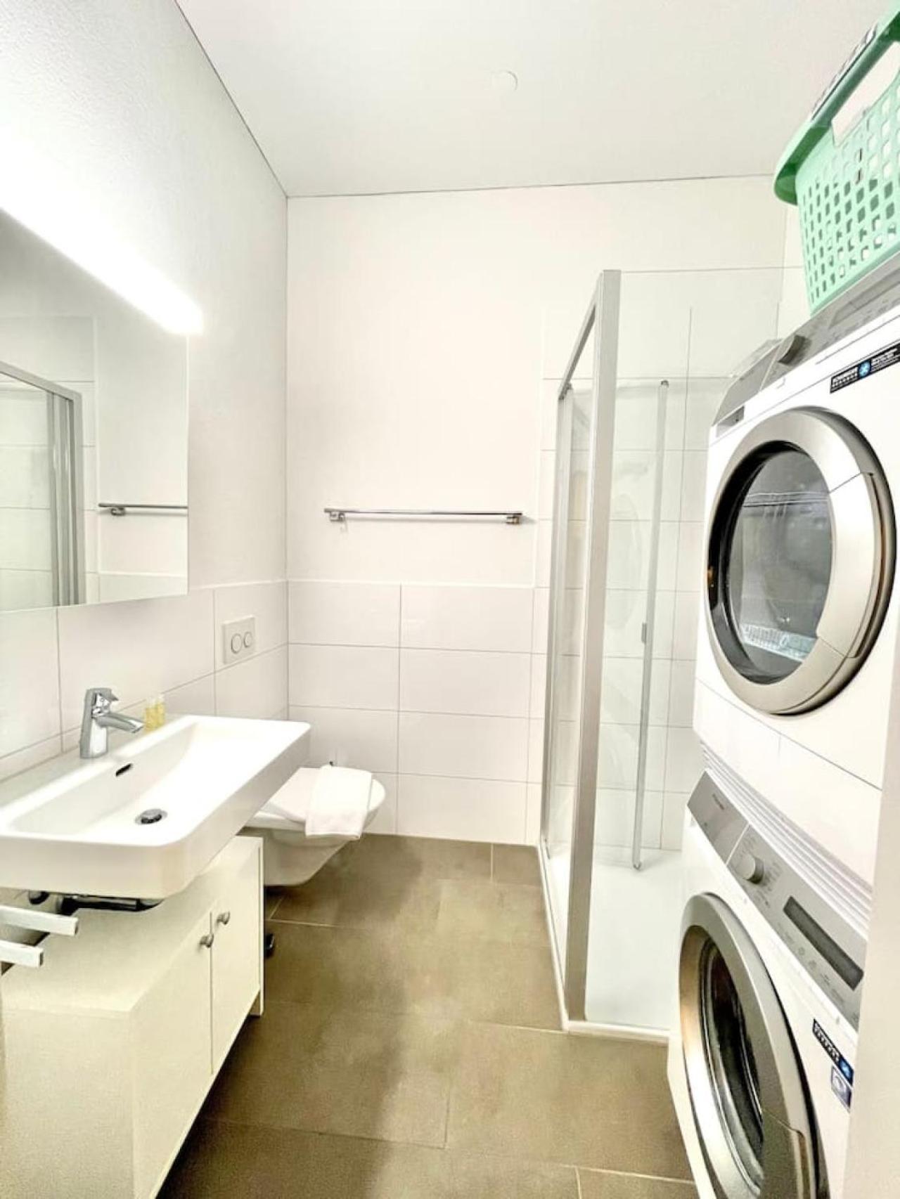 Dream Sh04l Apartment Zurich