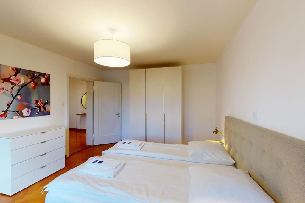 Sunny And Quiet 1br Flat Center - Parkview 5 Zurich