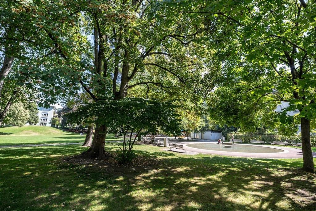Sunny And Quiet 1br Flat Center - Parkview 5 Zurich