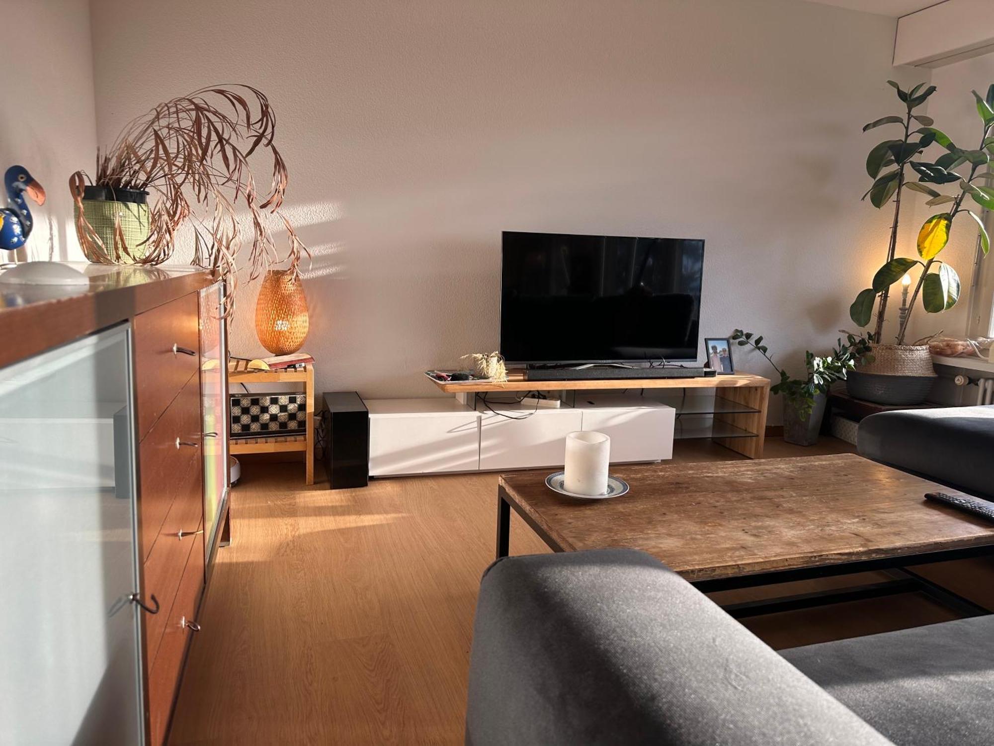 Lovely Room, 15 Min From Center, Mountain View * Zürich