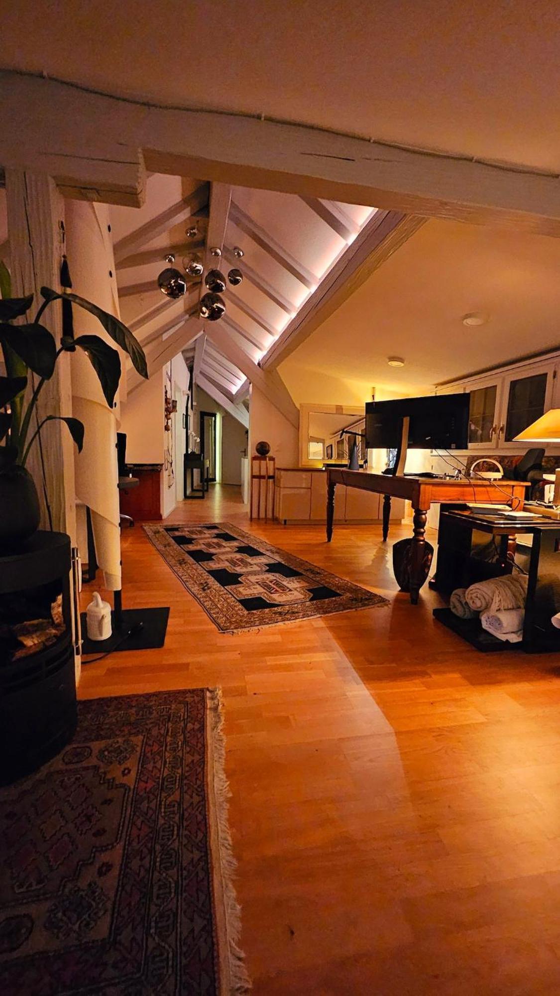 Executive Studio In Pedestrian Area Apartment Zurich