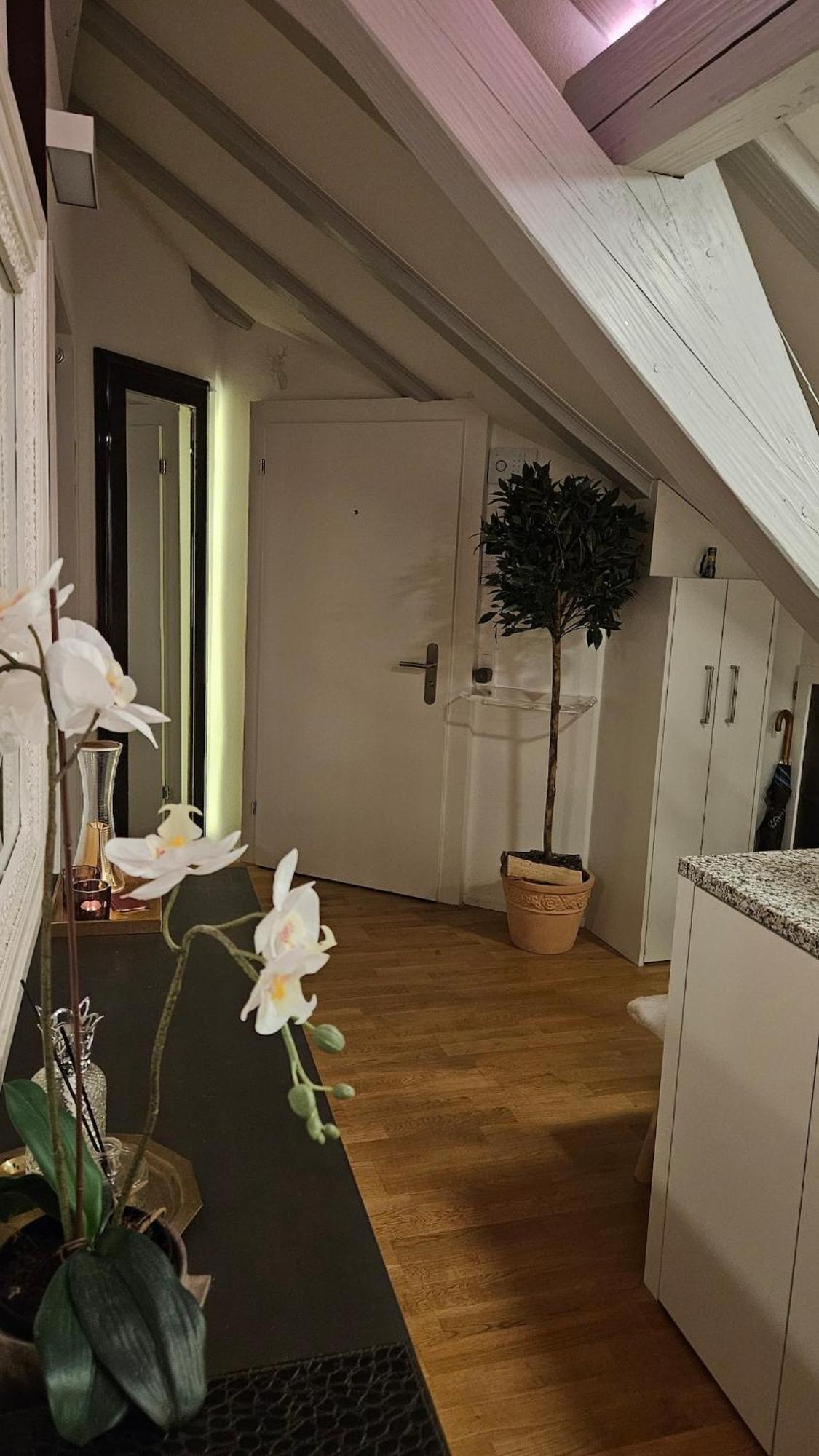 Executive Studio In Pedestrian Area Apartment