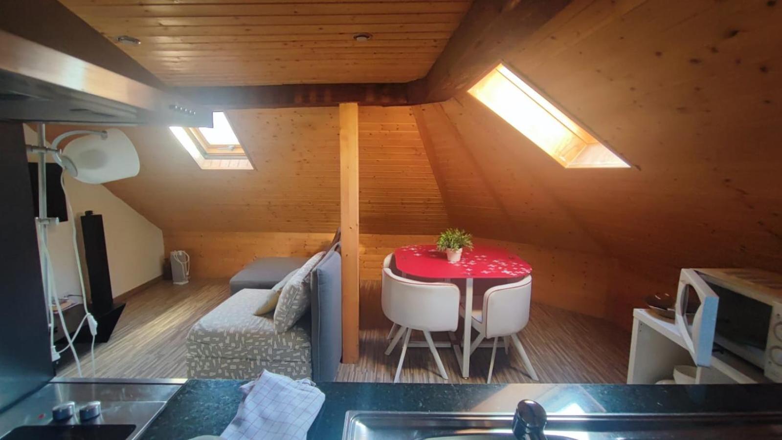 Attic Loft With Rooftop Terrace! Apartamento Zurique