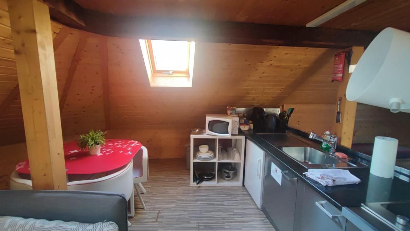 Attic Loft With Rooftop Terrace! * Zurique