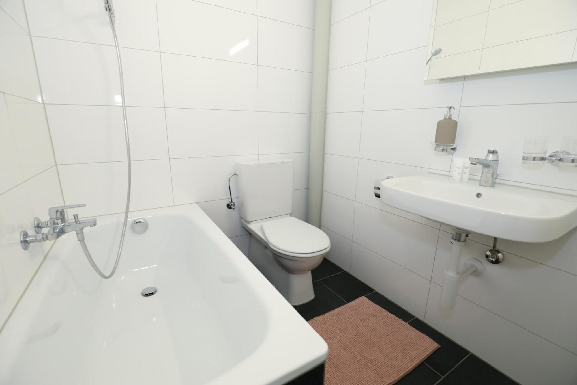 Spacious Parkside In With Balcony Apartment Zurich