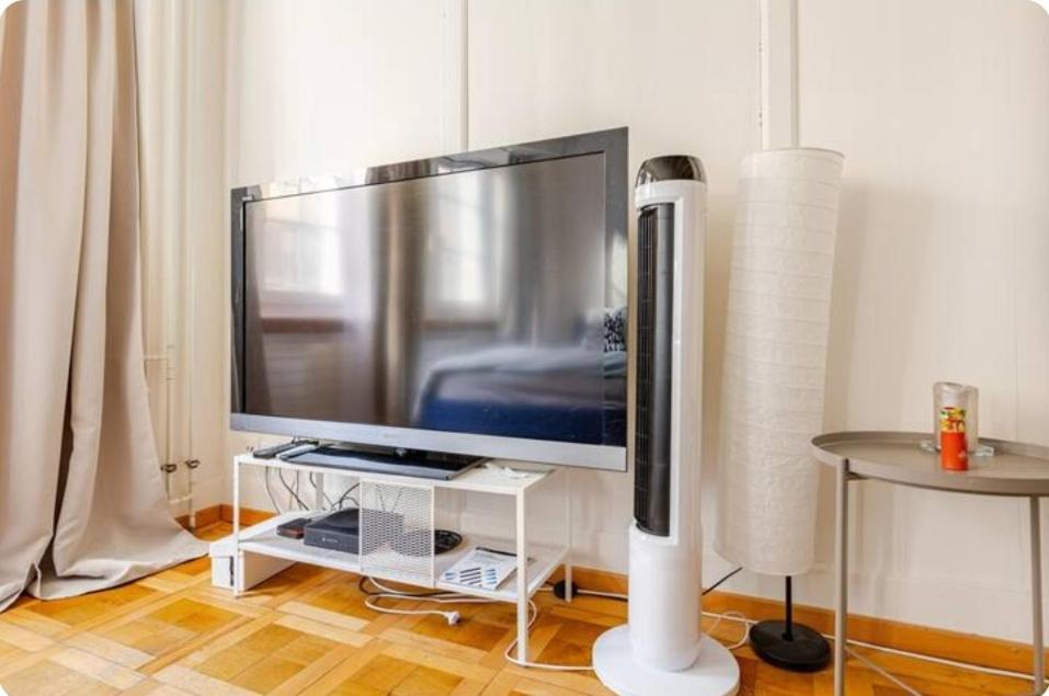 Center Apt. Old Town Zh