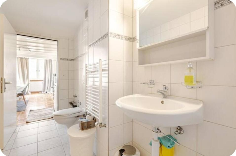 Apartment Center Apt. Old Town Zh *