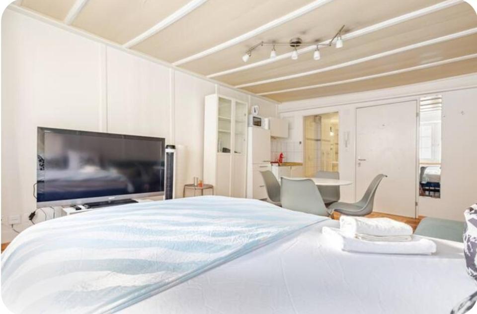 Center Apt. Old Town Zh